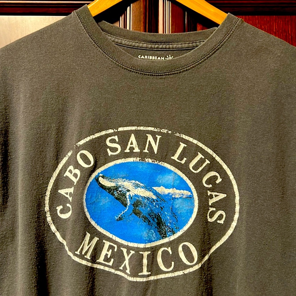 Caribbean Side Men's Cabo San Lucas, Mexico Whale 🐋 Gray T-Shirt 100% Cotton!
